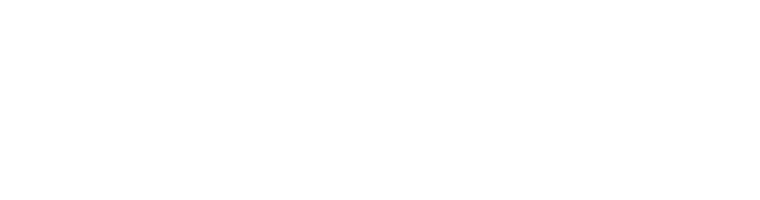 Federação União Progressista